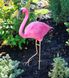 купить Садовая фигура Фламинго большой на металлических лапах 5