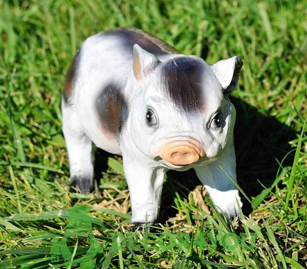 купити Садова фігура Свинка в'єтнамська 2