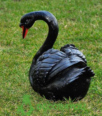 купить Садовая фигура Лебедь шипун черный 2