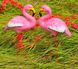 купить Садовая фигура два Фламинго розовых средних на металлических лапах 2