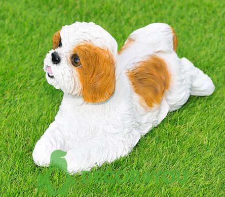 купить Садовая фигура собака Ши-цу лежащий бело-коричневый 2