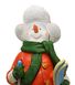 купить Новогодняя садовая фигура Снеговик-Лыжник с табличкой "Желаю Удачи!" в красной кофте NSF-7.066 2