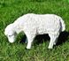 купить Садовая фигура Овца пасущаяся малая 2