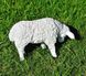 купить Садовая фигура Овца пасущаяся малая 4