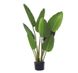 Искусственное растение Banana Tree, 120 см (TW-24)