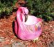 купить Подставка для цветов Фламинго (4.132.de) 4