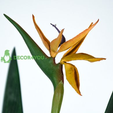 Штучна рослина Engard Strelitzia, 120 см (TW-25)