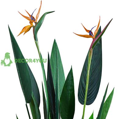 Штучна рослина Engard Strelitzia, 120 см (TW-25)