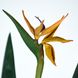 Штучна рослина Engard Strelitzia, 120 см (TW-25)