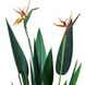 Штучна рослина Engard Strelitzia, 120 см (TW-25)