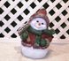 купить Новогодняя садовая фигура Снеговик с табличкой "З Новим Роком!" NSF-7.050 1