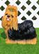 купити Садова фігура Собака Йорк сидячий, стоячий і йорк з дітками 2