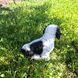 купити Садова фігур собака Ши-цу сидить біло-чорна 4