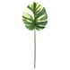 Штучне листя Engard Monstera Alba, 71 см (TW-53)