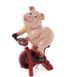 купити Статуетка декоративна Свинка на велотренажері 1