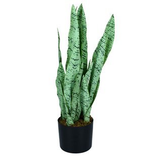 Искусственное растение Engard Sansevieria, 65 см (DW-11)