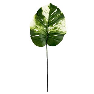 купити Штучне листя Engard Monstera Alba, 78 см (TW-55) 1