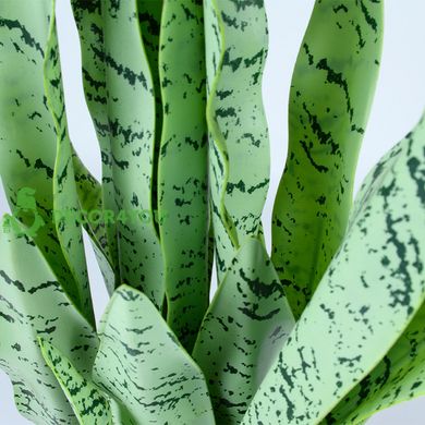 Искусственное растение Engard Sansevieria, 65 см (DW-11)