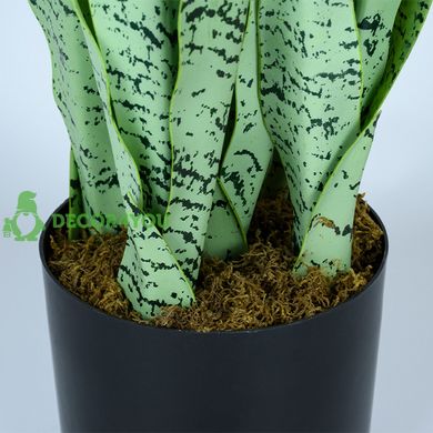 Искусственное растение Engard Sansevieria, 65 см (DW-11)