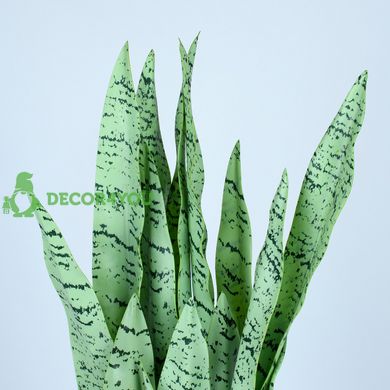 Искусственное растение Engard Sansevieria, 65 см (DW-11)