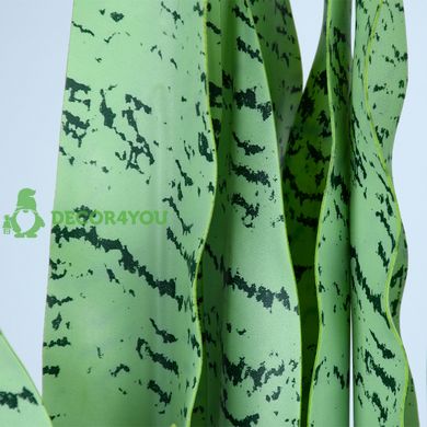 Искусственное растение Engard Sansevieria, 65 см (DW-11)