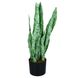 Штучна рослина Engard Sansevieria, 65 см (DW-11)