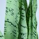 Штучна рослина Engard Sansevieria, 65 см (DW-11)