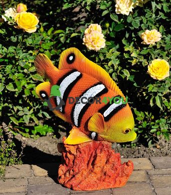 купити Садова фігура Риба метелик на коралі 2
