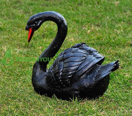 купить Садовая фигура Лебедь шипун черный 1