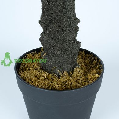 Штучна рослина Engard Cycas Palm, 60 см (DW-24)