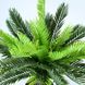 Штучна рослина Engard Cycas Palm, 60 см (DW-24)