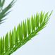 Искусственное растение Engard Cycas Palm, 60 см (DW-24)