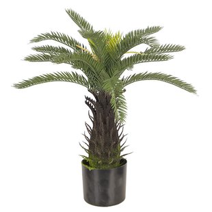 Штучна рослина Engard Cycas Palm, 60 см (DW-25)