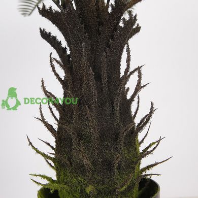 Штучна рослина Engard Cycas Palm, 60 см (DW-25)