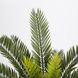 Штучна рослина Engard Cycas Palm, 60 см (DW-25)