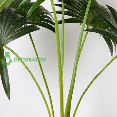 Штучна рослина Engard Fan Palm, 95 см (DW-26)