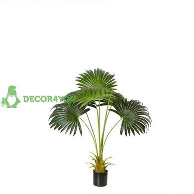 Штучна рослина Engard Fan Palm, 95 см (DW-26)