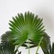 Штучна рослина Engard Fan Palm, 95 см (DW-26)