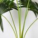 Штучна рослина Engard Fan Palm, 95 см (DW-26)