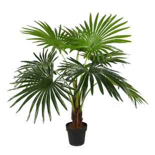 Штучна рослина Engard Fan Palm, 120 см (DW-27)