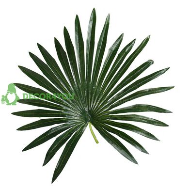 Штучна рослина Engard Fan Palm, 120 см (DW-27)