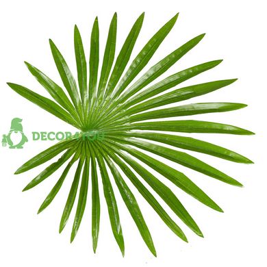 Штучна рослина Engard Fan Palm, 120 см (DW-27)