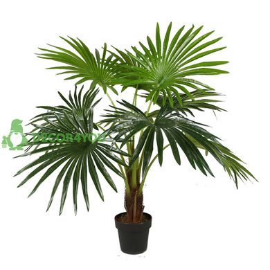 Штучна рослина Engard Fan Palm, 120 см (DW-27)