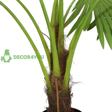 Штучна рослина Engard Fan Palm, 120 см (DW-27)