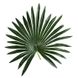 Штучна рослина Engard Fan Palm, 120 см (DW-27)