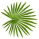 Штучна рослина Engard Fan Palm, 120 см (DW-27)