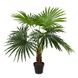 Искусственное растение Engard Fan Palm, 120 см (DW-27)