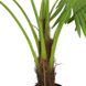 Штучна рослина Engard Fan Palm, 120 см (DW-27)