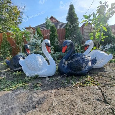 купити Комплект садових фігур Пара лебедів, білих та чорних   3