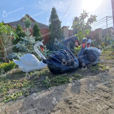 купити Комплект садових фігур Пара лебедів, білих та чорних   4